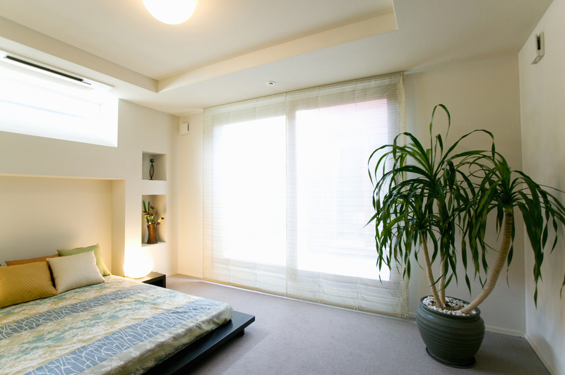 garden maintenance Hedge trimming