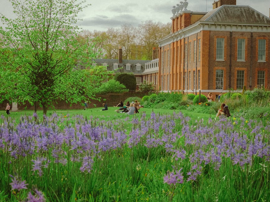 A scenic garden scene in Roehampton featuring a large, lush green tree with bright fresh leaves on the left, and a well-maintained lawn area with people sitting and relaxing in the background. In the foreground, there are dense clusters of purple flowers, possibly alliums or hyacinths, growing along a garden bed. To the right, a traditional brick building with white window frames and a slate roof is visible, providing a historic backdrop. The garden includes neatly trimmed hedges and a winding pathway, with some gardening tools such as a rake or shears placed nearby, suggesting ongoing lawn care or hedge trimming work. The environment is overcast with soft, diffuse light, emphasizing the vibrant colors of the flowers and greenery, creating an inviting atmosphere suitable for outdoor relaxation and garden maintenance by Gardeners Roehampton near the University of Roehampton.