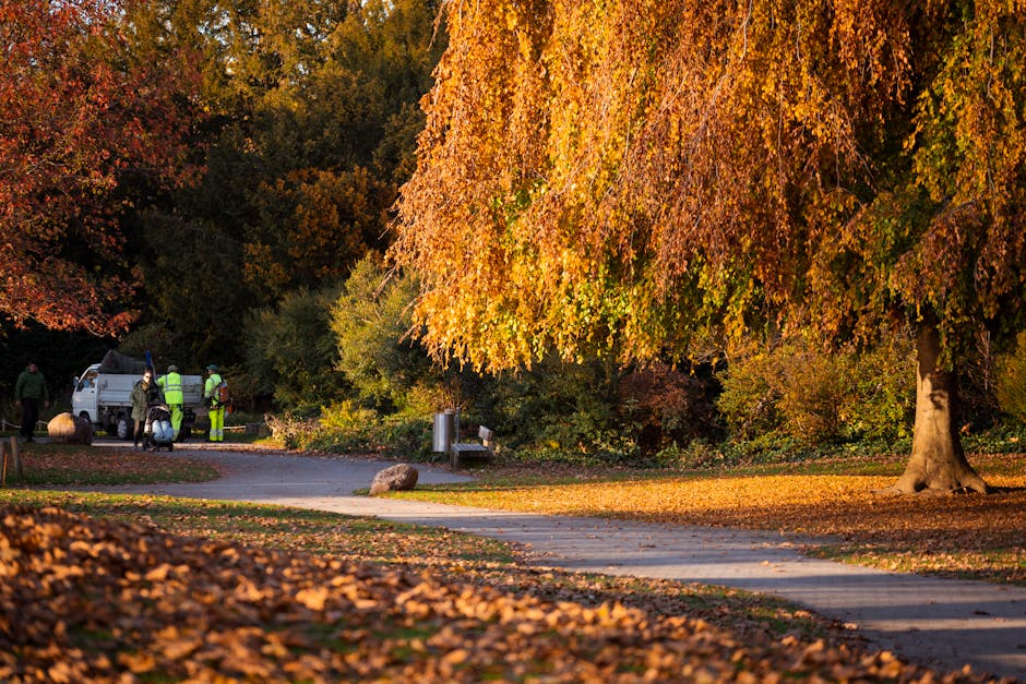 https://gardenersroehampton.org.uk/blog/garden-maintenance-roehampton-near-university-of-roehampton/